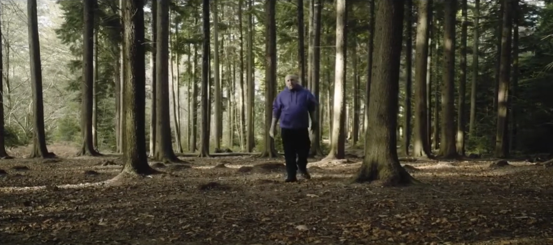 A man walking in a woodland forest