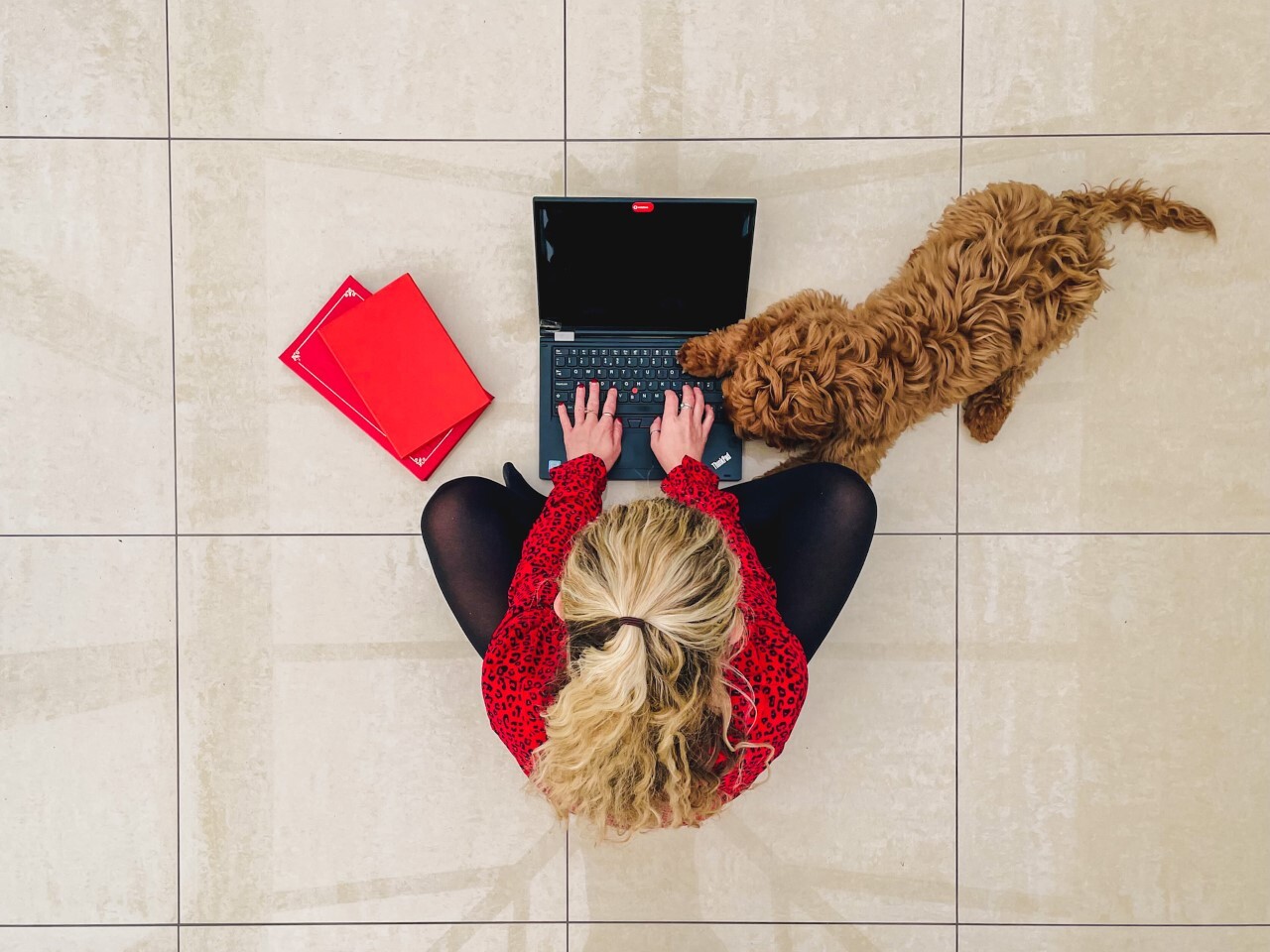 A woman sat on the floor with laptop, dog and red notepad