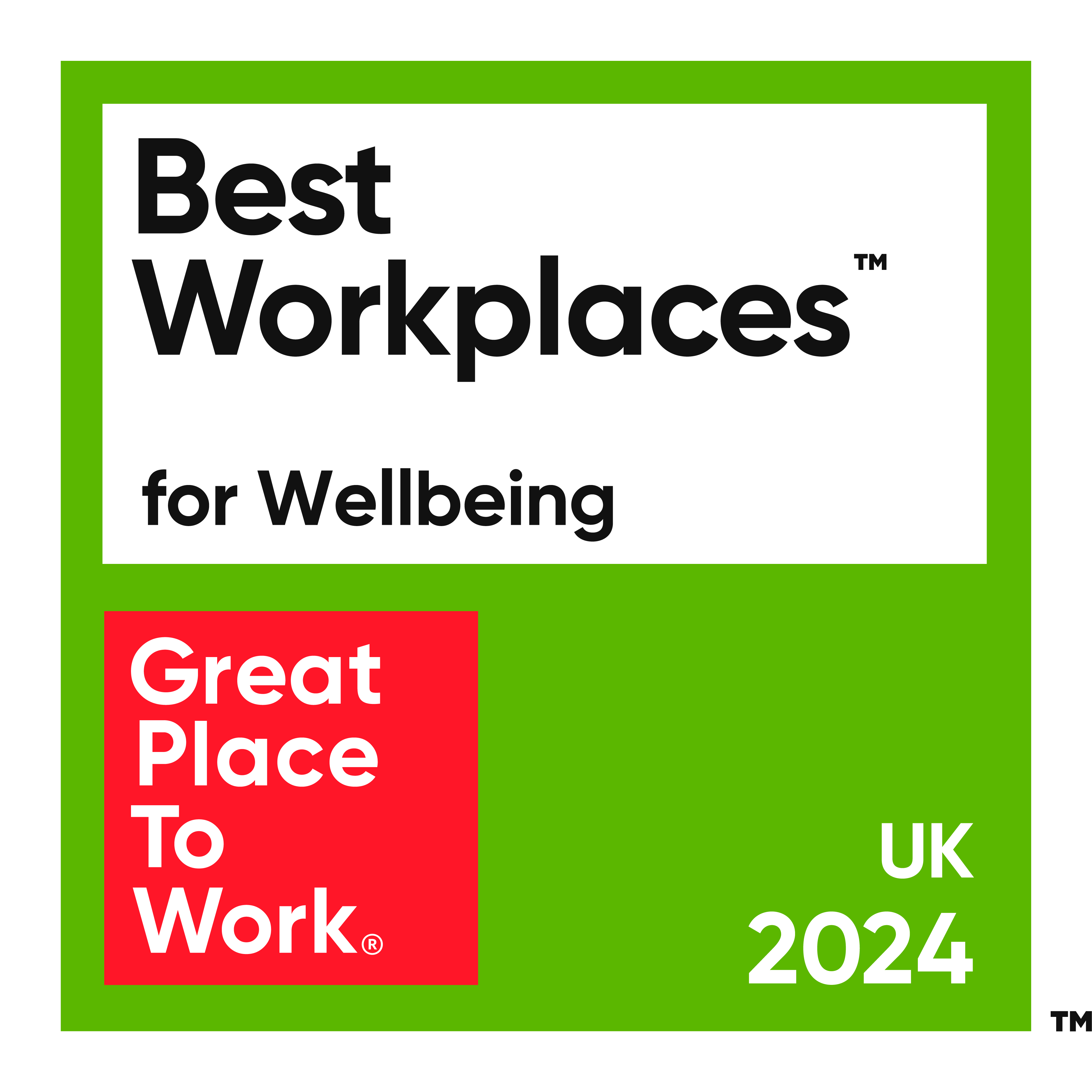 Great Place to Work Wellbeing 2024